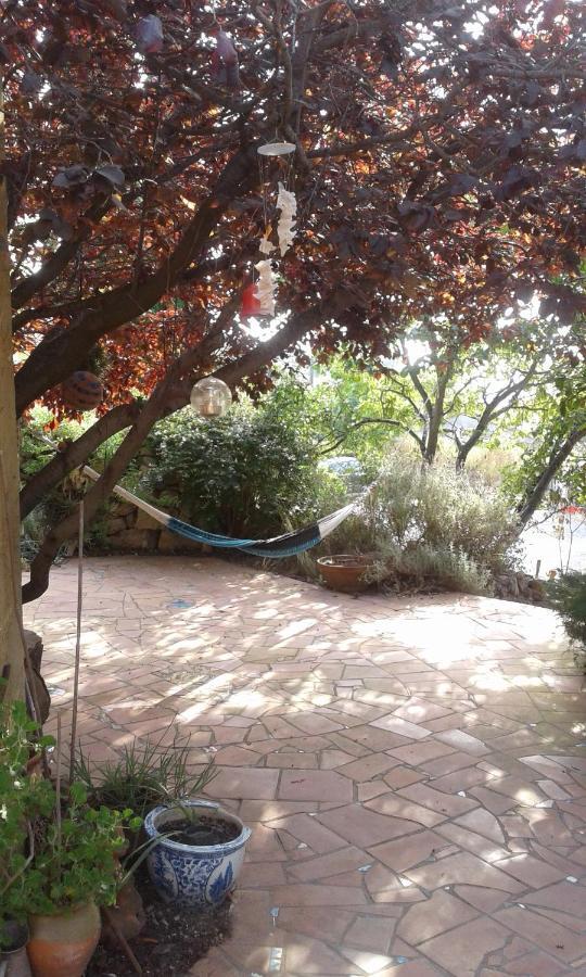 Bed and Breakfast Atelier Pasquer Fitou Экстерьер фото
