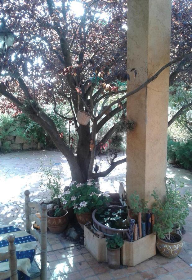 Bed and Breakfast Atelier Pasquer Fitou Экстерьер фото